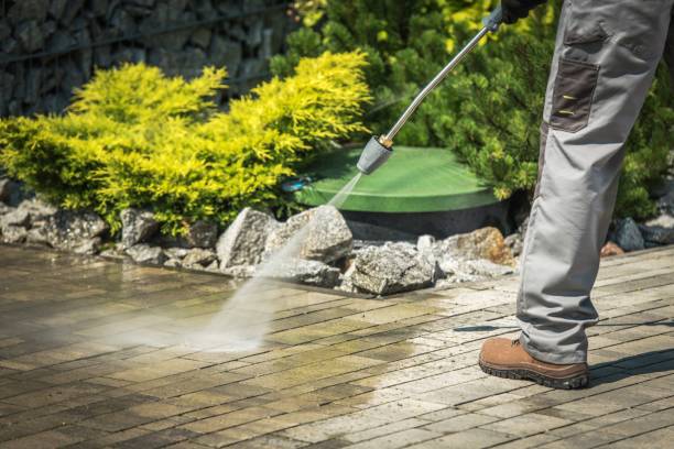 Best Fence Cleaning  in Havre De Grace, MD